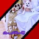 آیآلَتُـــــــ. کًـــــًسًــــــــــــرکنـــــــٌد