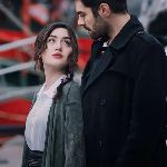 ߹Rچتکده عسلوک༄M࿓๛