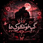 𓍼𓆩 😻🫶گـــپ ڂؤشگلؤڪ هآ𓆪